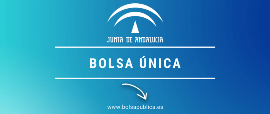 20191216_bolsa_unica_junta-907x510
