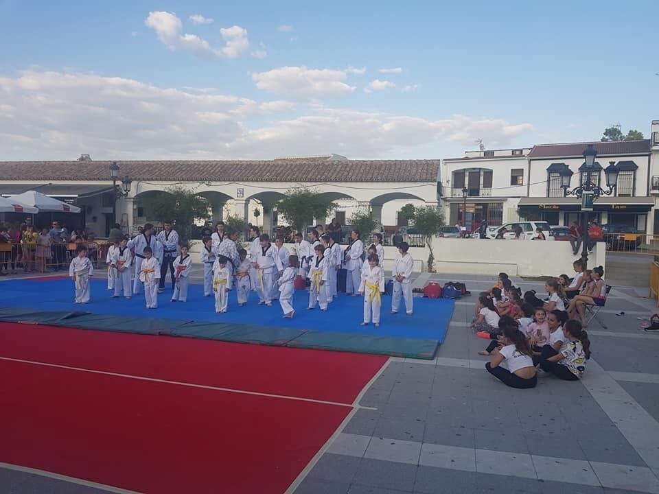 Clausura Gimnasia Ritmica y Taekwondo.13.06 (3)