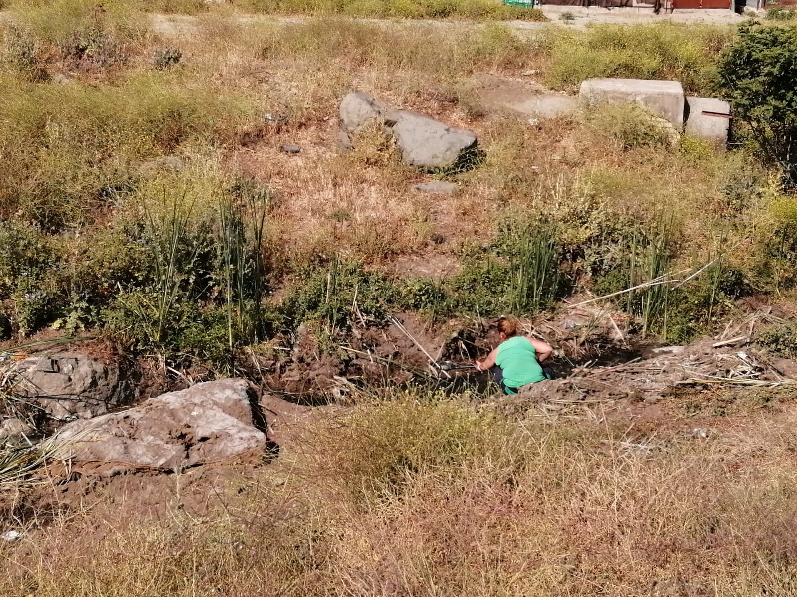 0094c23e-0e84-4d49-95ca-7d7d770c0b6a