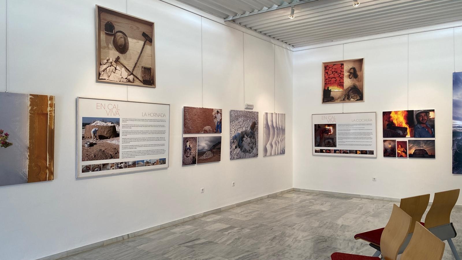 195466ec-d15b-49eb-9e70-ff37ad507951