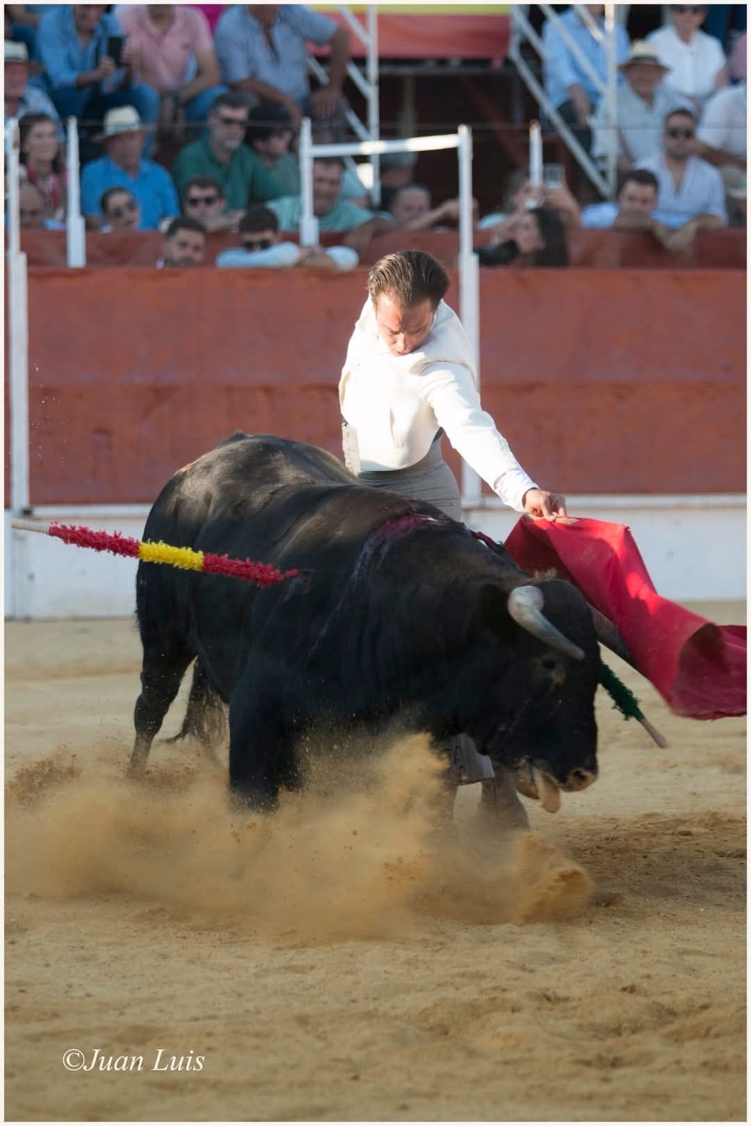 20273cfa-28a8-4989-bc30-061b3cc281e0 (1)