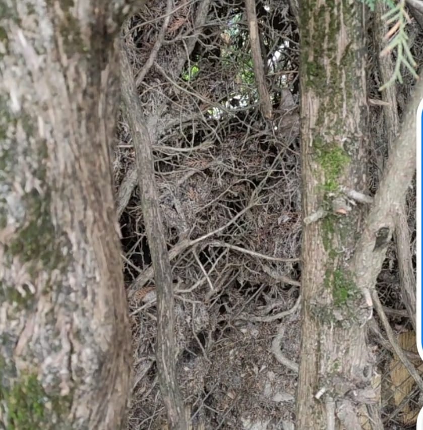 29e3f75d-fb4d-40c9-9694-71805bb24e41