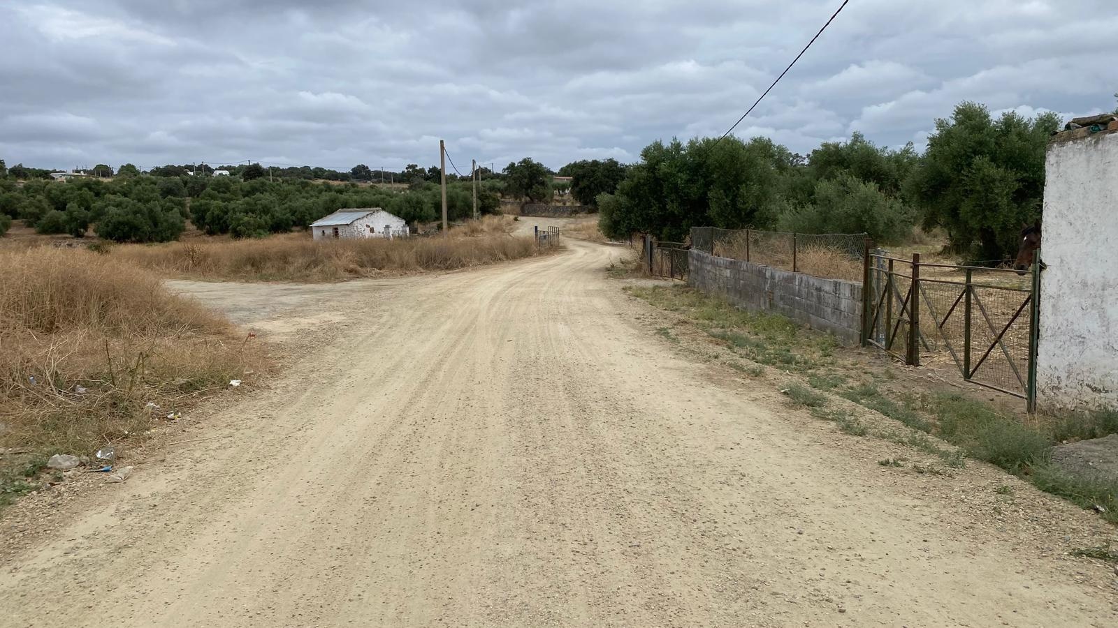 46260a5e-5aa9-48f7-996e-e2fe7f914202