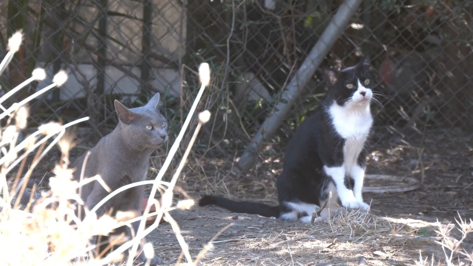 4f9bf8ea-f0fe-4616-9e57-f1eeb5d2d933