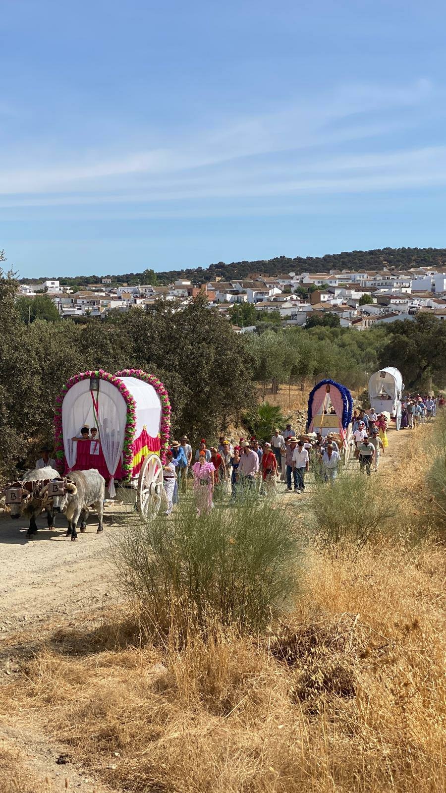 546899027_1193943436095285_6494437267960674373_n