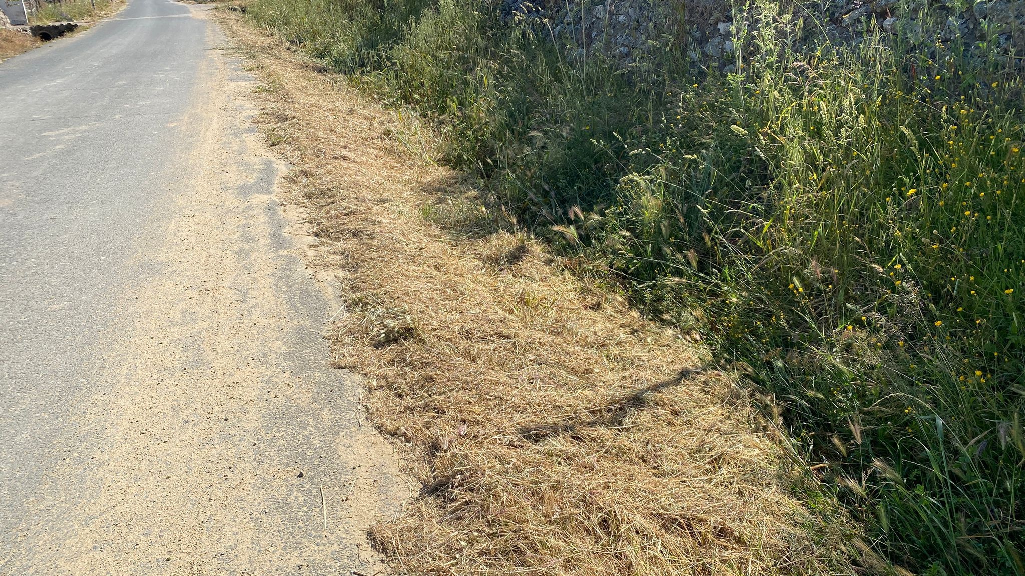 548a8fb4-11ad-4f3b-bb20-8552ec7f7721