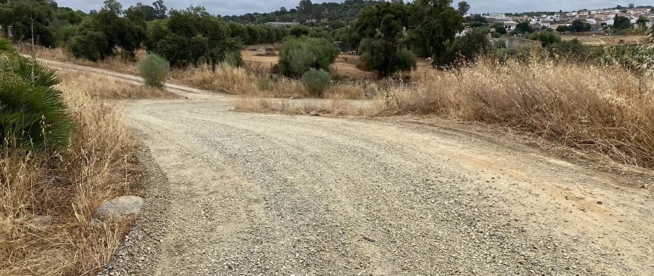 6136d9b4-0b29-4d7f-9cdf-9b1b1d0b90ab