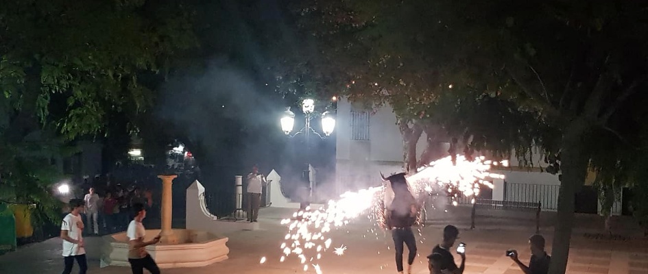 67741176_2158964764215019_6851010098874023936_n