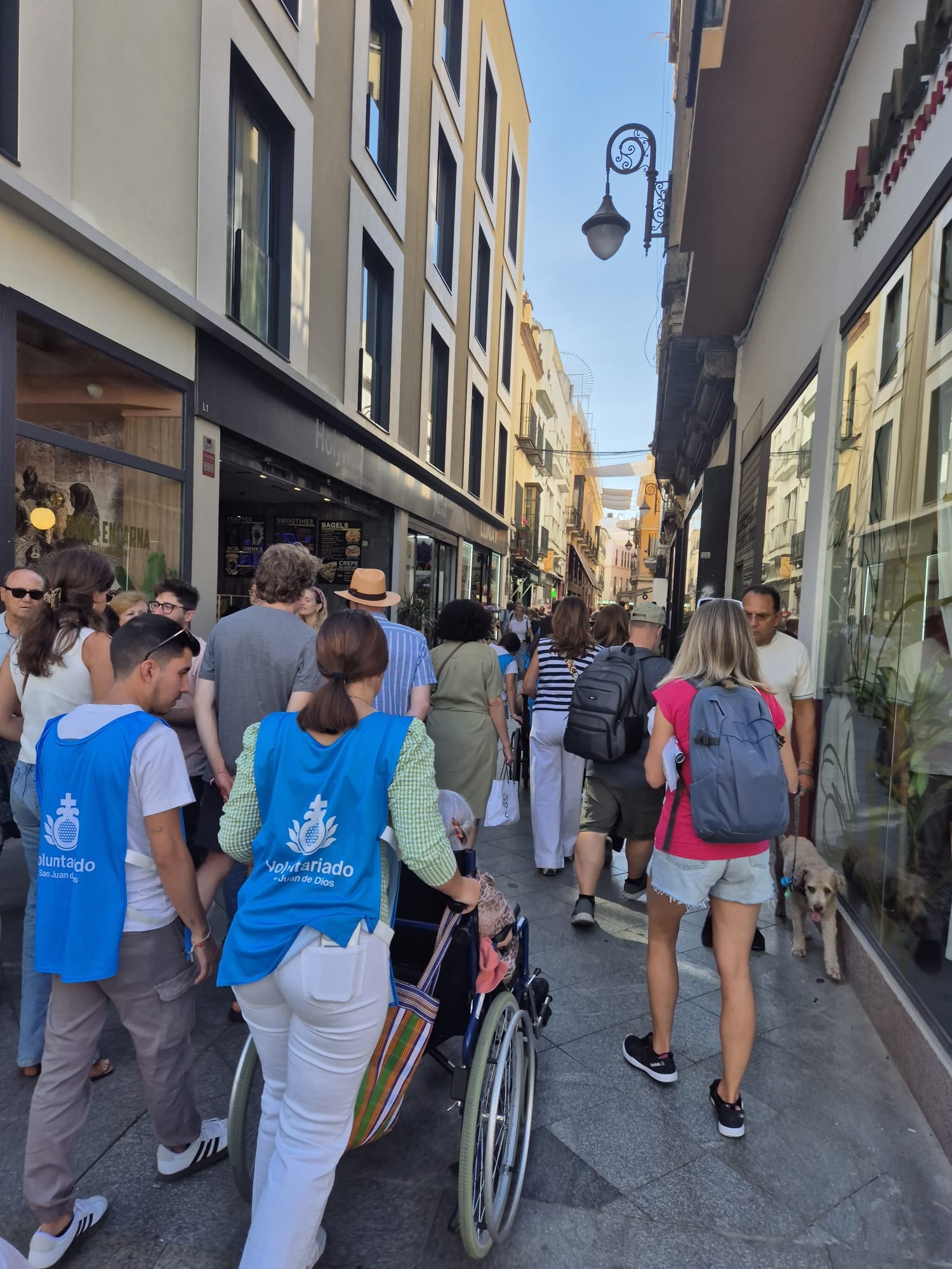 70b8fd3e-8715-4e30-9935-ce52a4e485d5 - copia