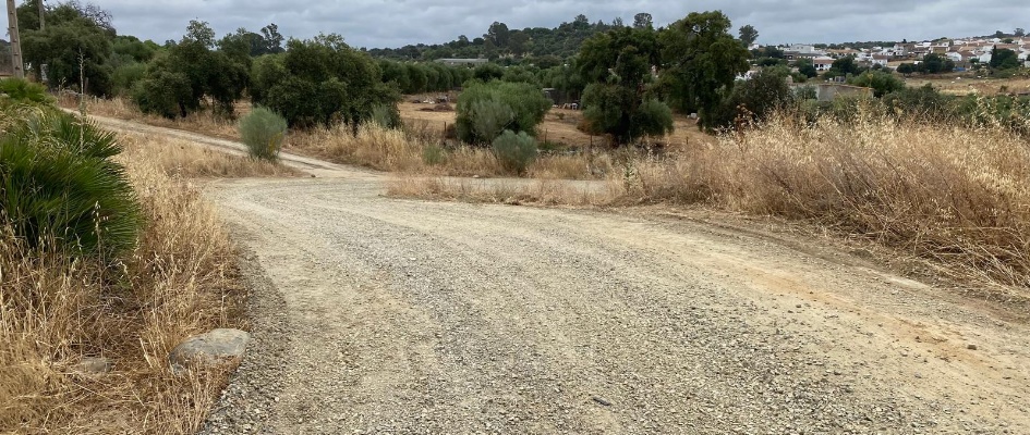 8c2bd0d8-e5fc-41d4-bde2-41aaaeb8f070