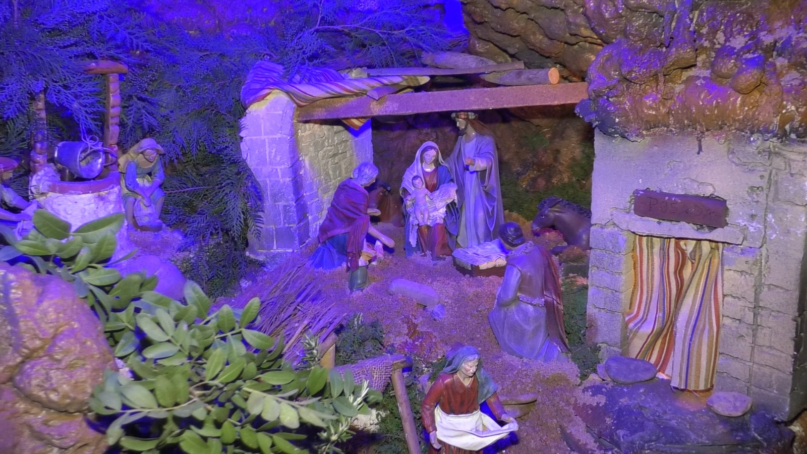 91e8ab50-3bf9-4fa6-9714-0d5ae4834f01 (1)