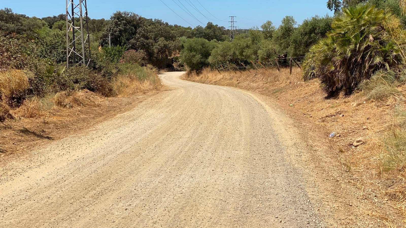 CAMINO TOLEDILLO1