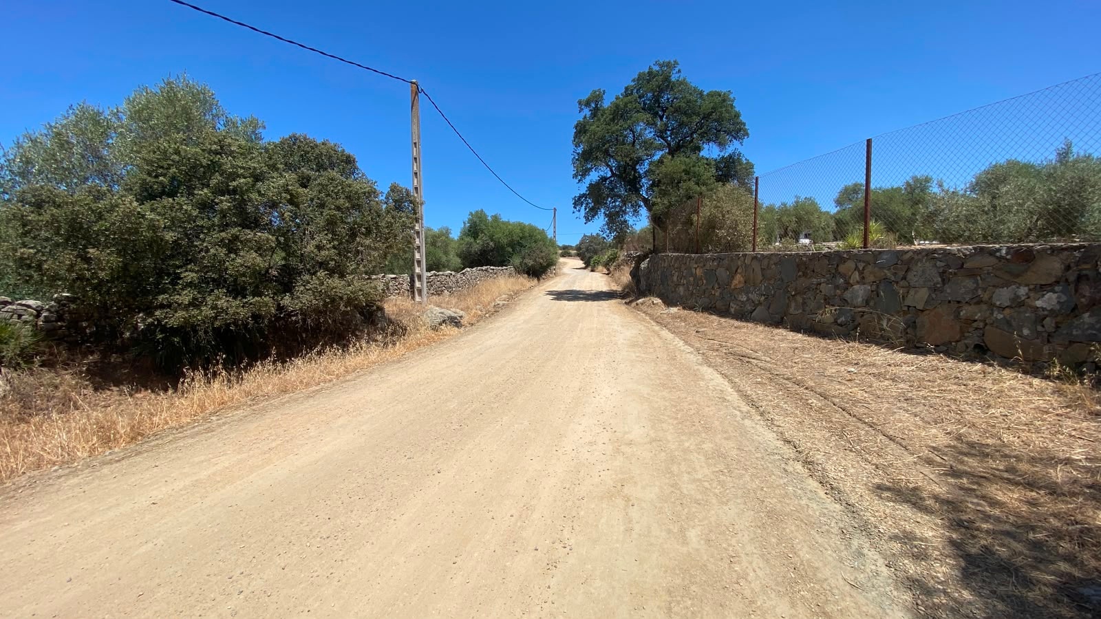 CAMINO8