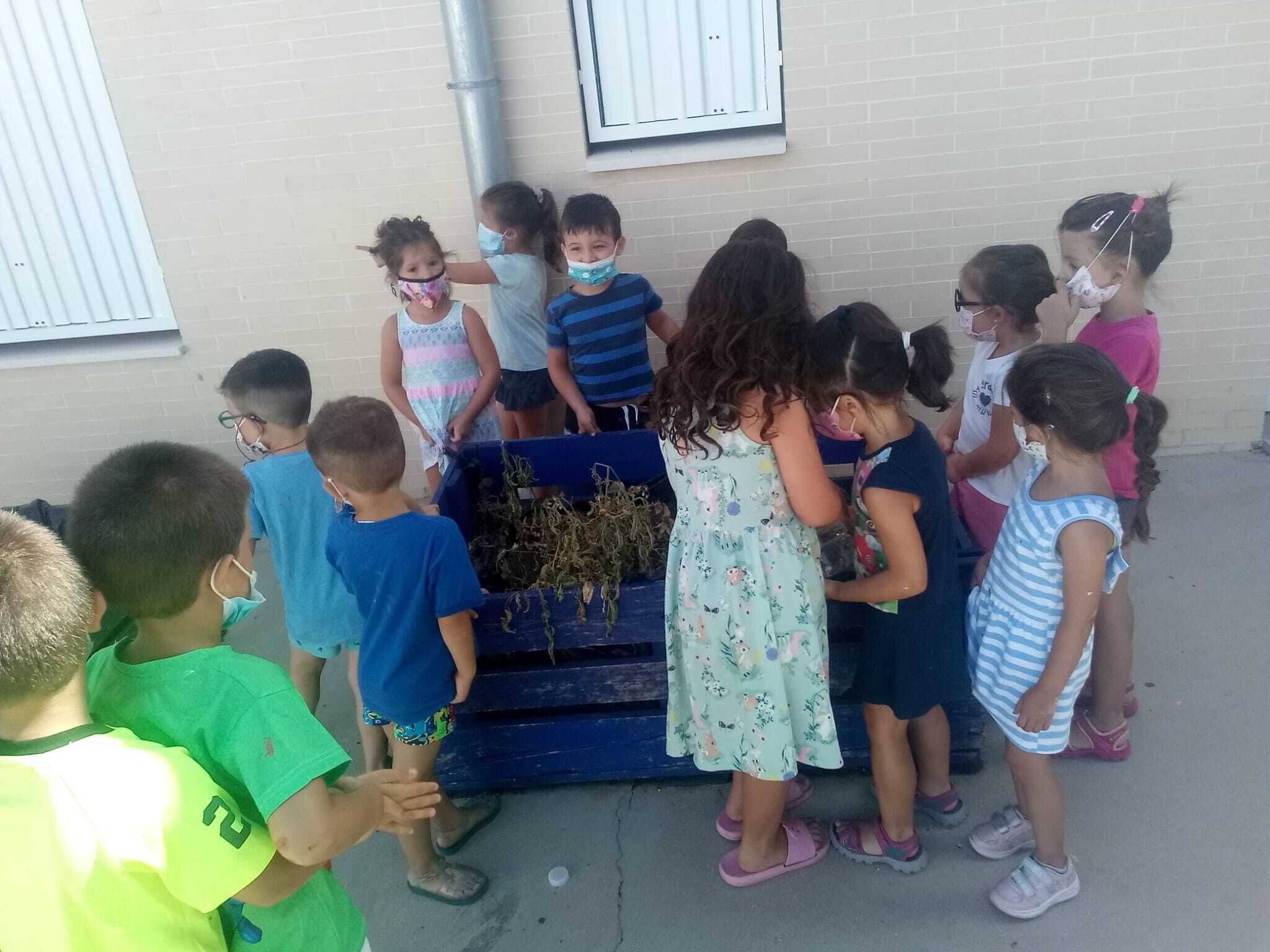 Escuela Verano4