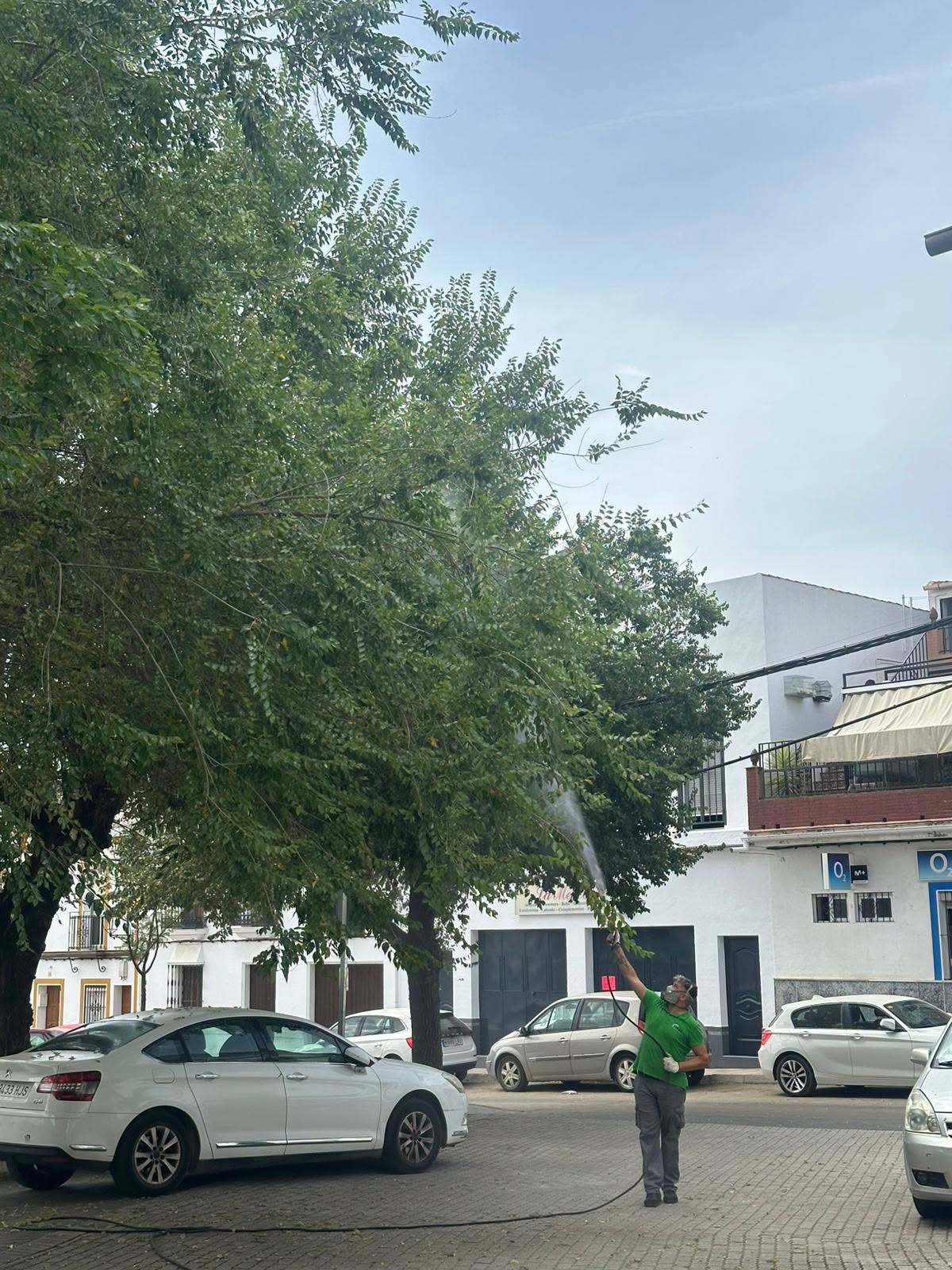 PLAGA