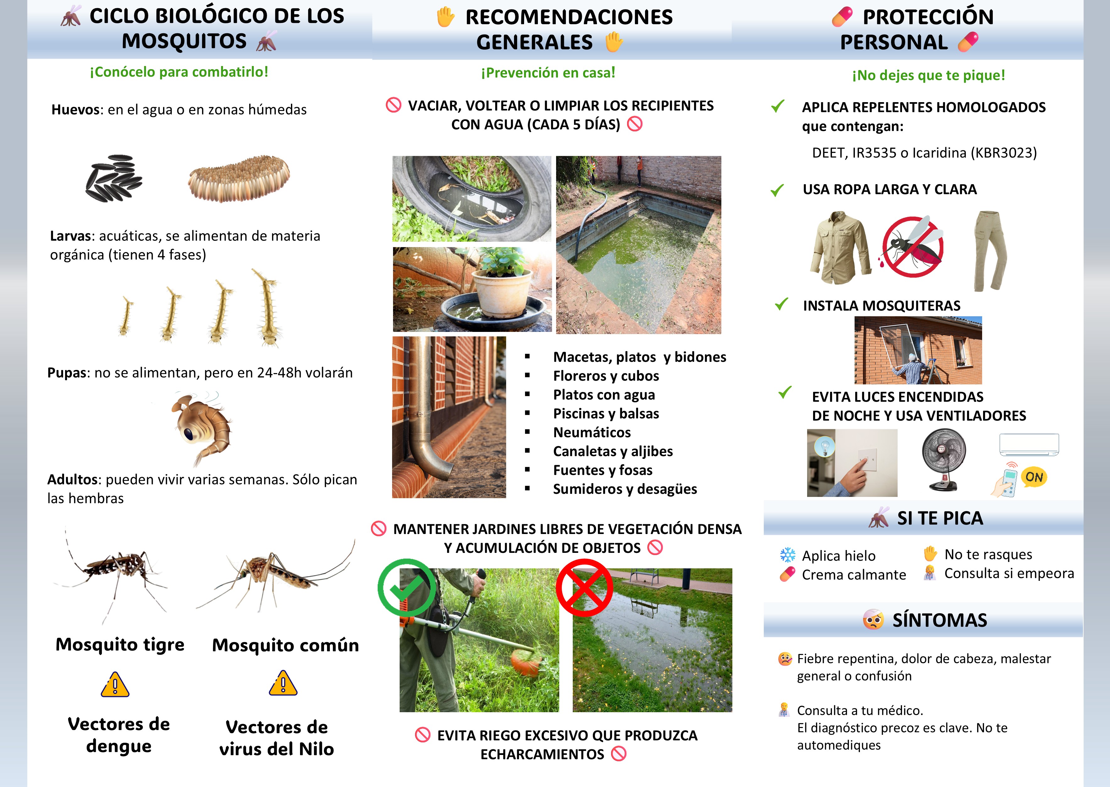 Tríptico reverso (2)
