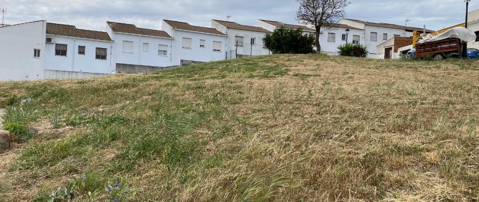 aaa6e46b-b92d-4526-8499-e869479c1c12