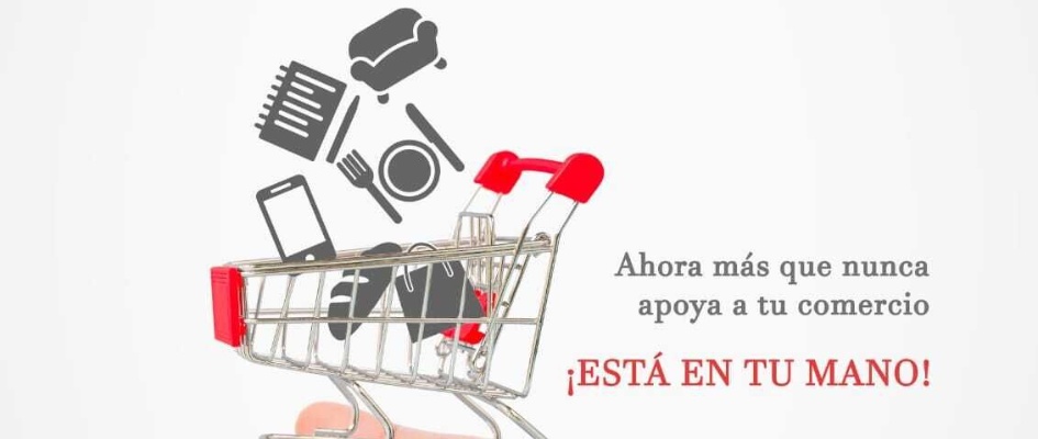 bbf496a2-cd9b-4f02-8eca-d43047a4cfff