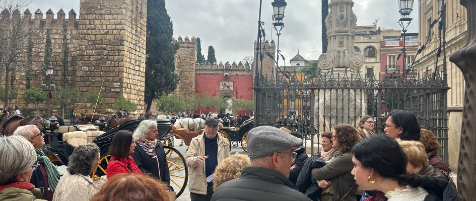 c6d05739-4862-42ac-906e-6d9a8d4258c3