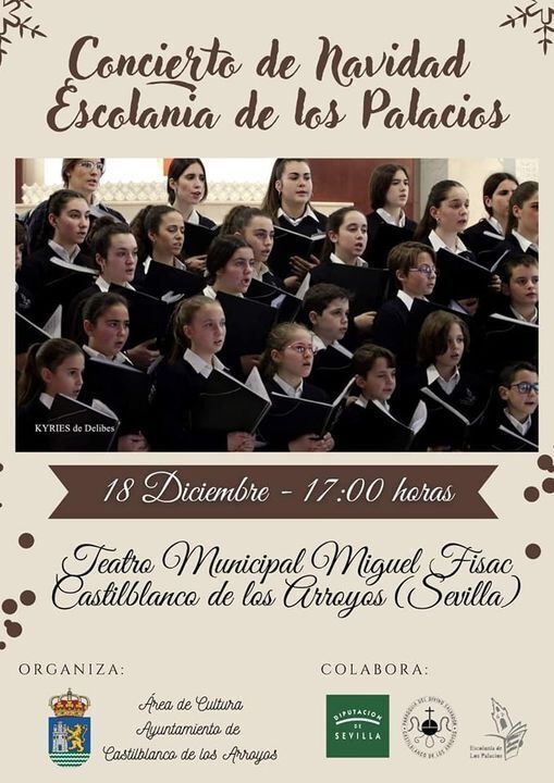 concierto escolanía de los palacios