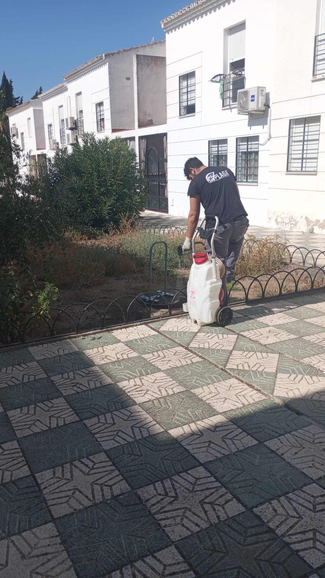 e34ba23b-3bdf-41ea-a09c-2f63961b37cf