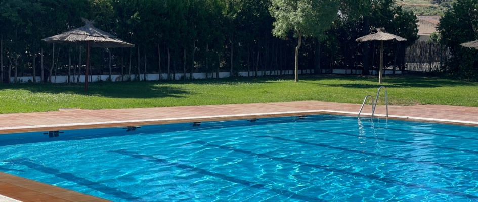 f4b18391-e0e7-4b49-b07c-35d00e70bcbe