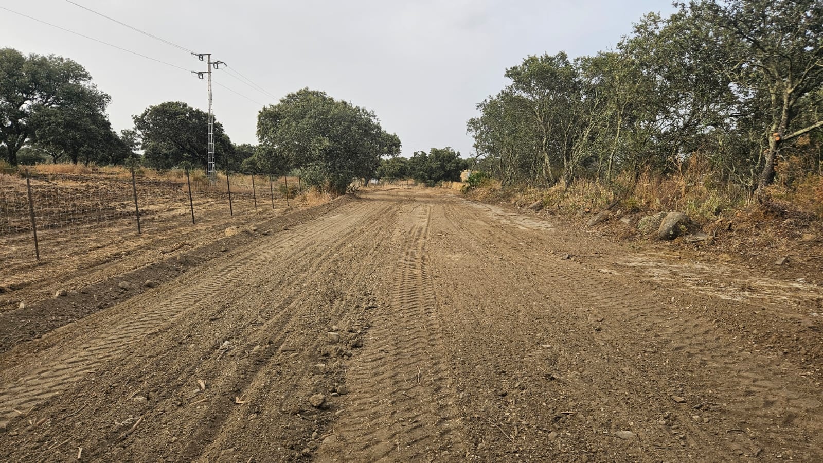 via pecuaria2
