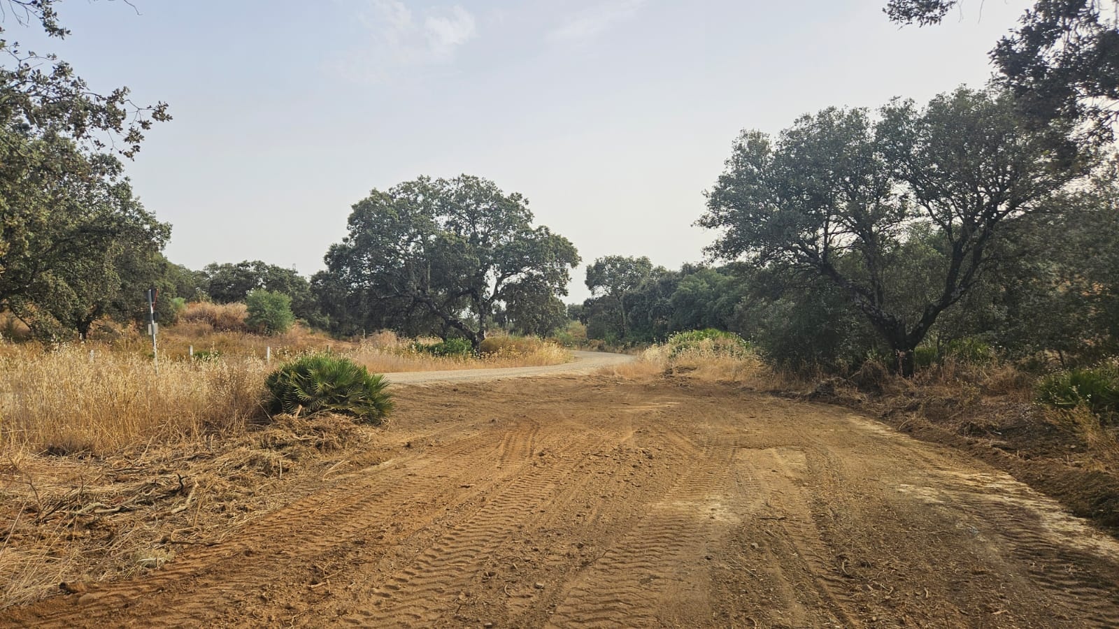 via pecuaria6